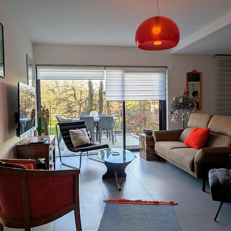 "Le 43" Terrasse, Jardin, 2 Garages Apartment Colmar Exterior photo